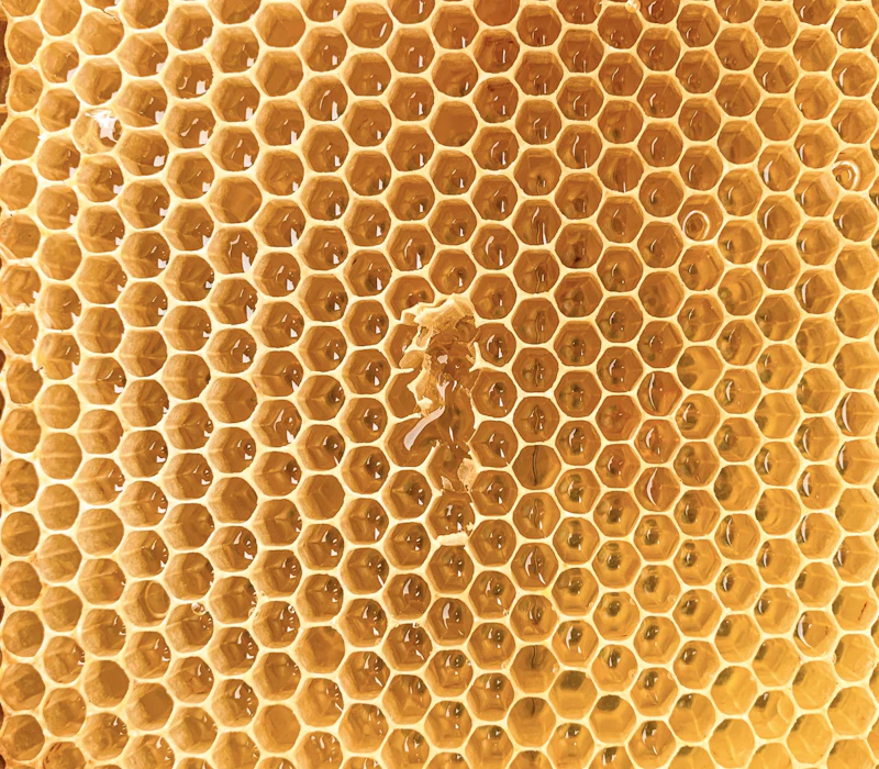 Close-up of golden honeycomb filled with honey