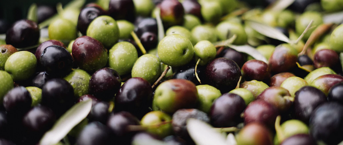 A pile of green and black olives
